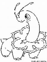 Meganium Grass Pokemon Coloring Pages Fun sketch template