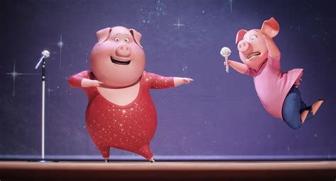 sing pigs image cinema  rapadura