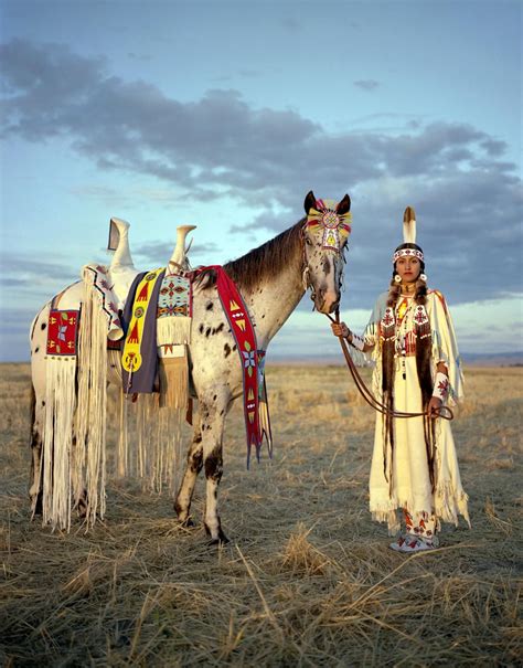 compelling    week native american horses native