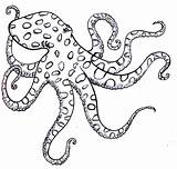 Octopus Drawing Simple Coloring Pages Illustration Outline Line Sea Tattoo Google Magda Lauren Search Visit Getdrawings Octopuses Kids Octopi sketch template
