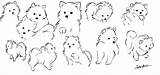 Pomeranian Pomeranians Tegninger Puppies Pomsky Spitz Pomchi Nain Hunde Tatoo Salvo sketch template