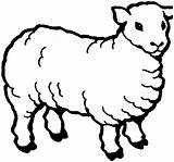 Sheep Outline Clipart Clip sketch template