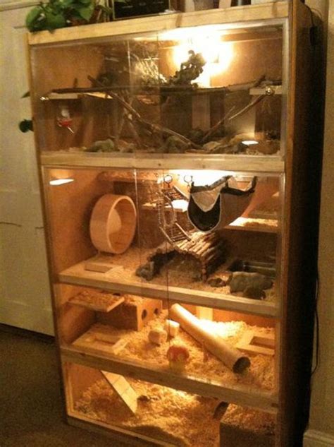 1000 images about good hamster cages on pinterest