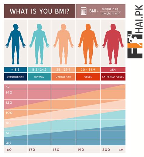 body mass index bmi chart fit nutrition