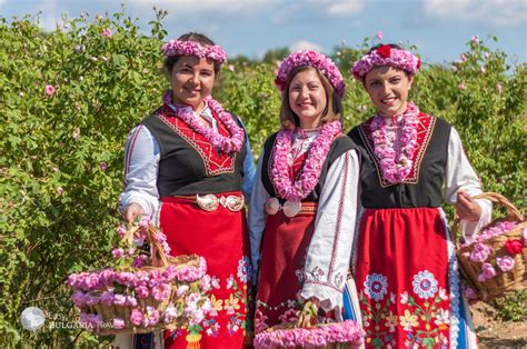 rose festival bulgaria   rose festival kazanlak rose festival