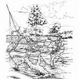 Lewis Clark Coloring Pages Hauling Boat Surfnetkids River sketch template