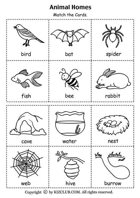 animal homes worksheet  printable kindergarten science preschool