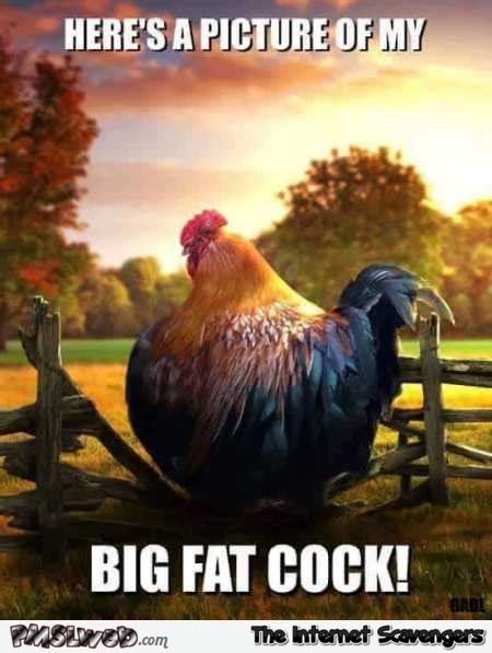my big fat cock xxx suck cock