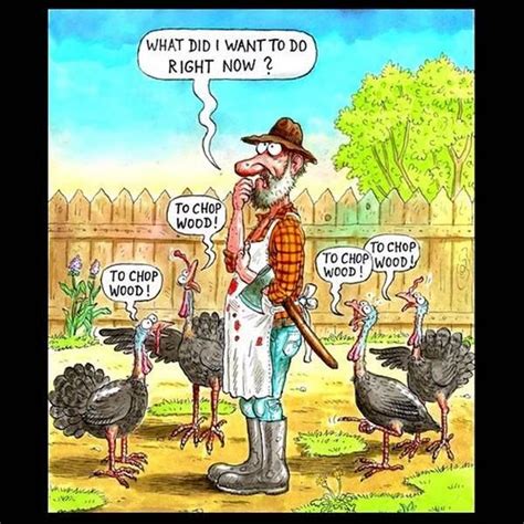 funny thanksgiving pictures thanksgiving cartoon holiday humor