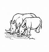 Coloring Pages Animal Rhino Rhinoceros Wild Printable Animals Kids Water African Hole Baby Rhinos Print Watering Color Clipart Sheets Drawing sketch template