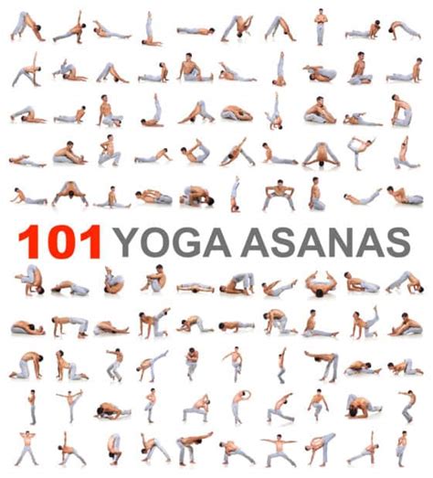 popular yoga poses  beginners intermediate  advanced yogis