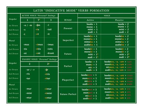 using patterns latin verbs part 3 tenses english