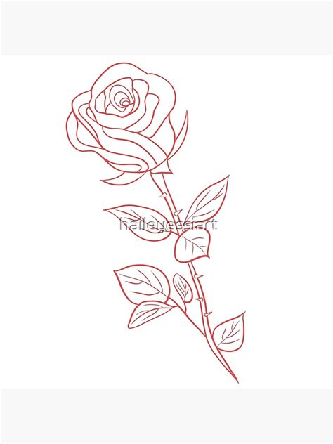 red rose outline poster  sale  haileyessiart redbubble