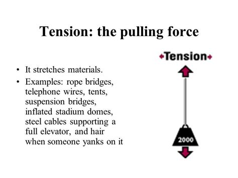 tension force examples brainlyin