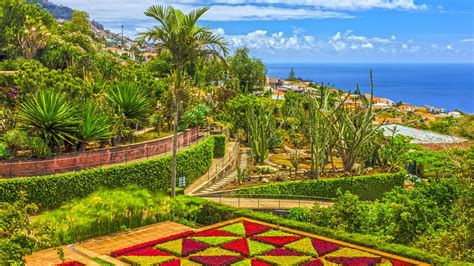 funchal portugal package holidays flight hotel direct flights tofrom luxembourg