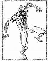 Spider Coloring Man Amazing Pages Color Getcolorings Printable Getdrawings sketch template