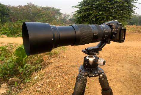 field test   nikon  mm     versatile wildlife lens