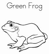 Coloring Frog Pages Green Color Cycle Life Tree Adult Print Red Cute Colorear Para Frogs Printable Az Getcolorings Clipartbest Getdrawings sketch template