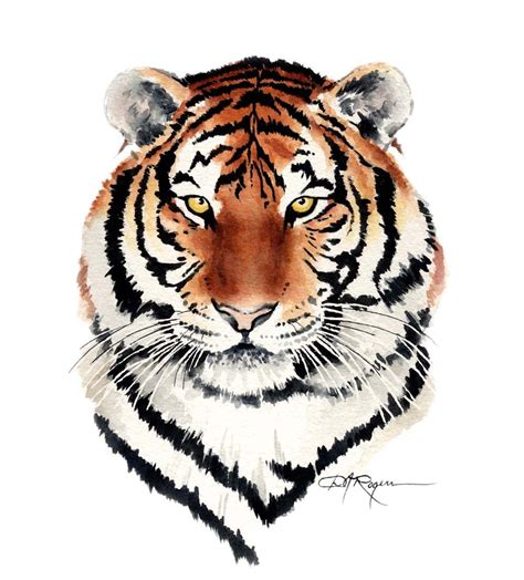 tiger watercolor painting art print signed  artist dj rogers tigers