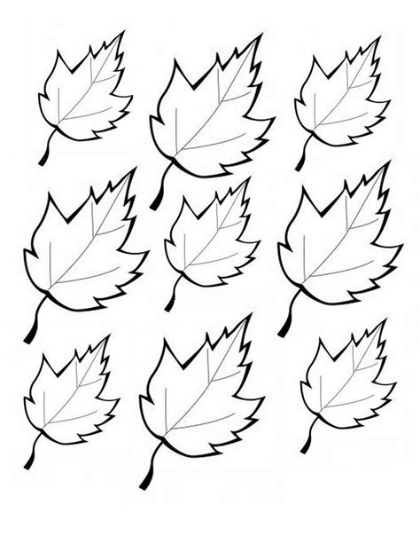 printable leaves printables pinterest leaves