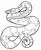 Constrictor Snakes Tattoo sketch template