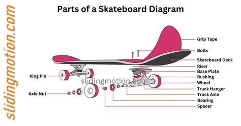 skateboard parts names functions   duild dream board