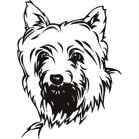 cairn terrier coloring pages  getcoloringscom  printable