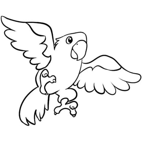 flying parrot coloring page  print  color