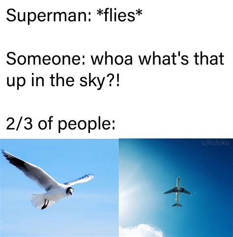 is it a bird is it a plane r memes