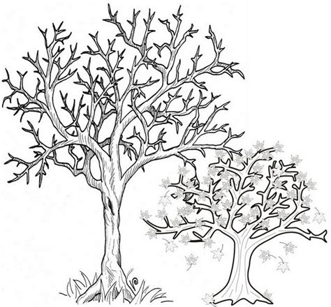 fall tree coloring pages  children alberi  autunno