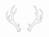 Antlers Antler Stag Contours sketch template