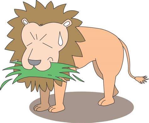 top 60 cartoon of lion eating clip art vector graphics and