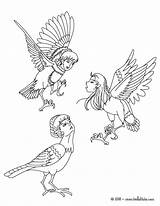 Mythologie Grecque Harpies Coloriages Hippogriff D8b Arpias Hellokids Getcolorings Criaturas Dios Infernales Hades Winged Parfait Griega sketch template