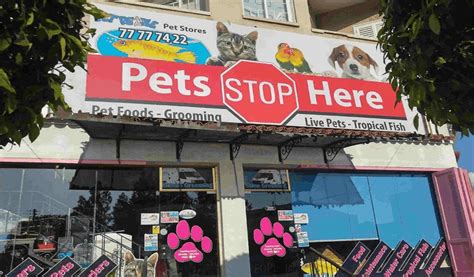 finding complete pet store