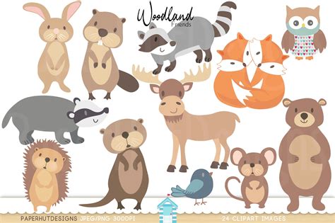 woodland forest animals clipart