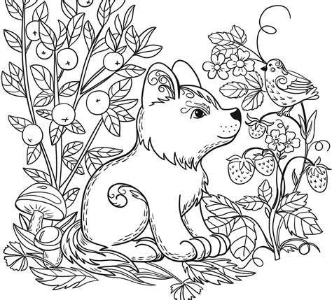realistic wild animal coloring pages realistic images  wild animals