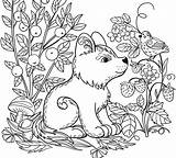 Coloring Animal Pages Wild Printable Fresh Color Print Getcolorings Anim sketch template