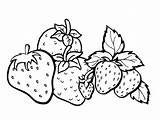 Buah Mewarnai Strawberry Paud Menggambar Makan Semangat Mungkin Semoga Biasa Langsung sketch template