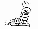 Gusano Dibujo Gusanos Gracioso Colorir Lagarto Buffo Worms Insectos Animales Worm Insetti Desenhos sketch template