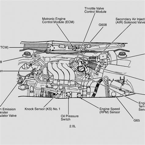 pin  wiring diagram