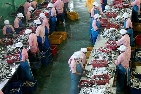 industri pengalengan ikan tumbuh positif  tengah pandemi covid