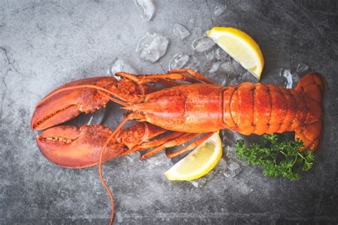buy lobster cooked  grams     price  uk