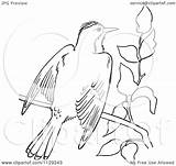 Branch Kingbird Outlined Wings Open Clipart Cartoon Picsburg Coloring Vector sketch template