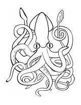 Squid Calamar Lula Kalmar Colorir Calamaro Riesenkalmar Inktvis Kleurplaat Supercoloring Kleurplaten Desenhos Tintenfisch Animal Stampare sketch template