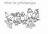 Printemps Maternelle Oiseaux Vive Oiseau Arbre Colorier Coloriages Gratuit Imprimé Thème Inscrivez Notre sketch template