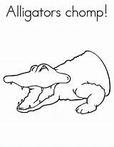 Alligator Coloring Printable Pages Color Kids Library Clipart Popular sketch template