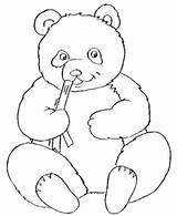 Panda Coloring Baby Pages Bamboo Eating Kids Cute Childrens sketch template