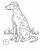 Colorat Desene Planse Colorare Caine Hund Malvorlage Dalmatian Caini Animale Imagini Cani Domestice Hunde Adulti Copii Segno Cainele Educative Pintar sketch template