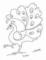 Peacock Coloring Pages Printable Kids Color sketch template