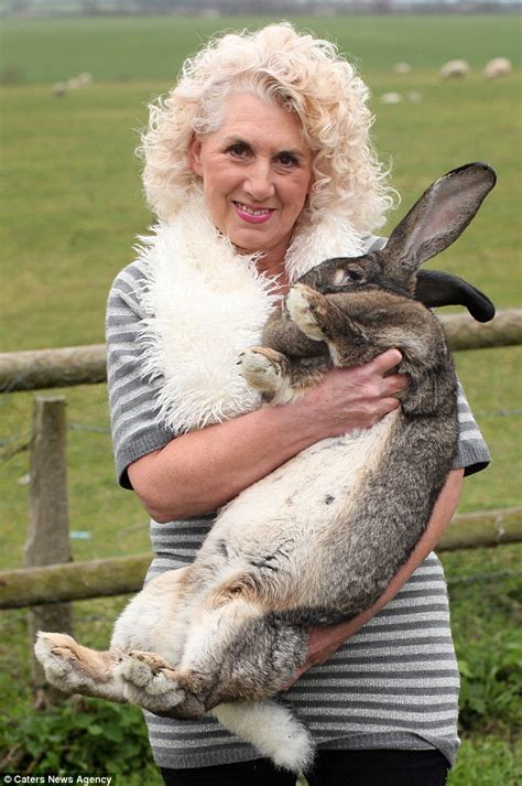 easter 2012 world s biggest bunny rabbit darius is 4ft 4inches and